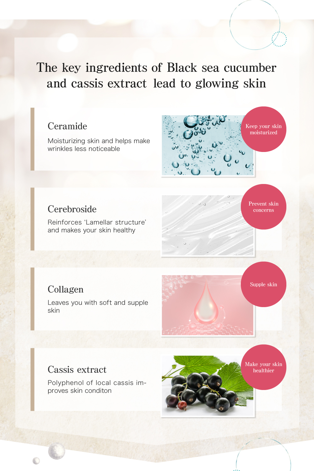 The key ingredients of Black sea cucumber and cassis extract lead to glowing skin