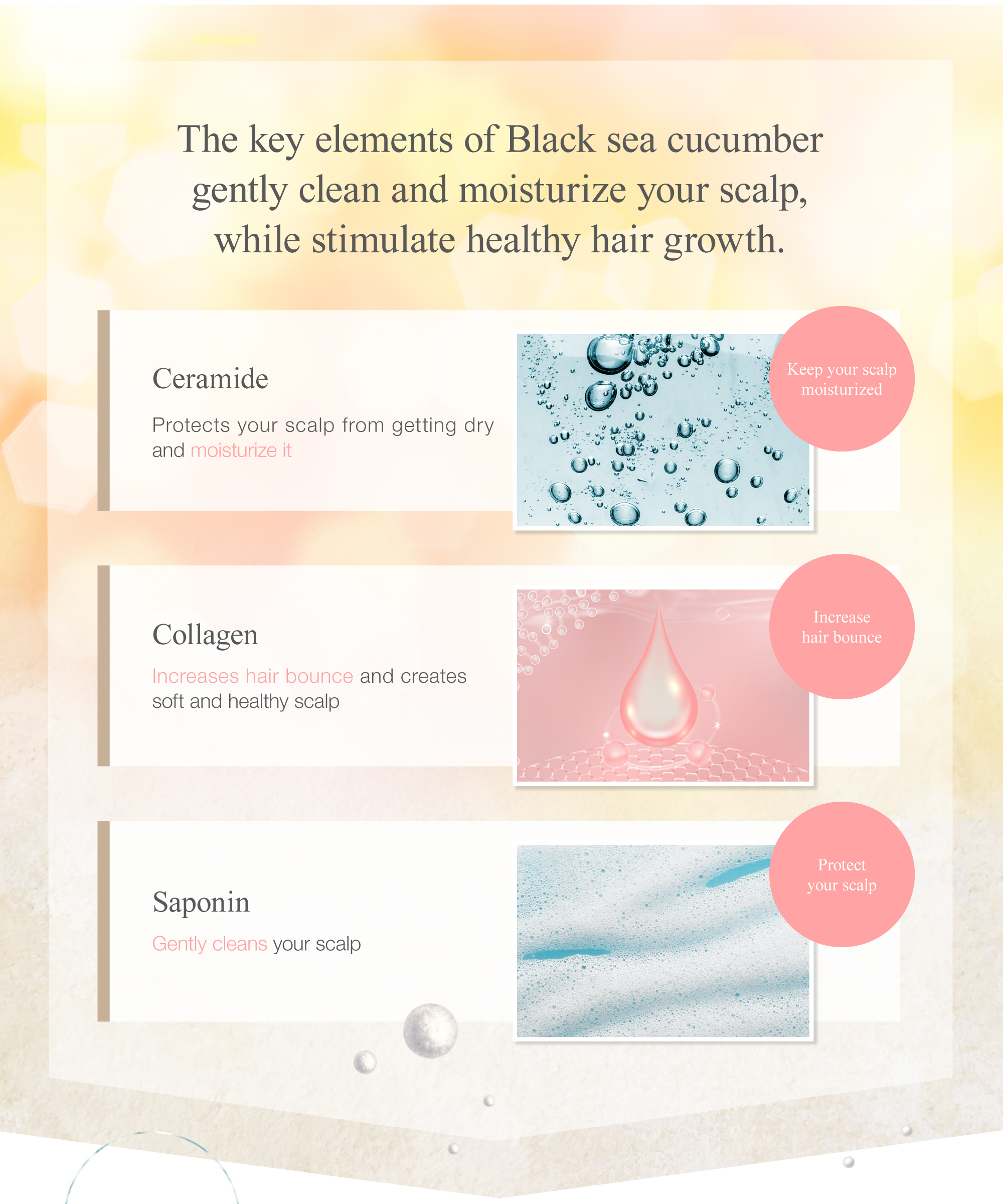 The key elements of Black sea cucumber gently shamp and moisturize your scalp, while stimulate healthy hair growth.