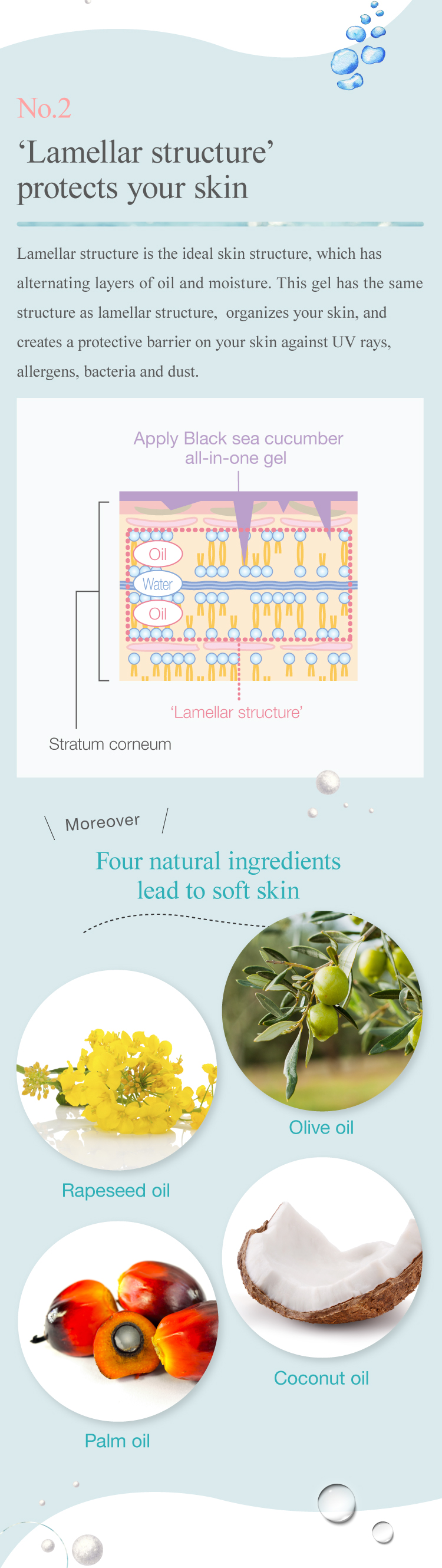Black sea cucumber all-in-one gel's ‘Lamellar structure’ protects your skin