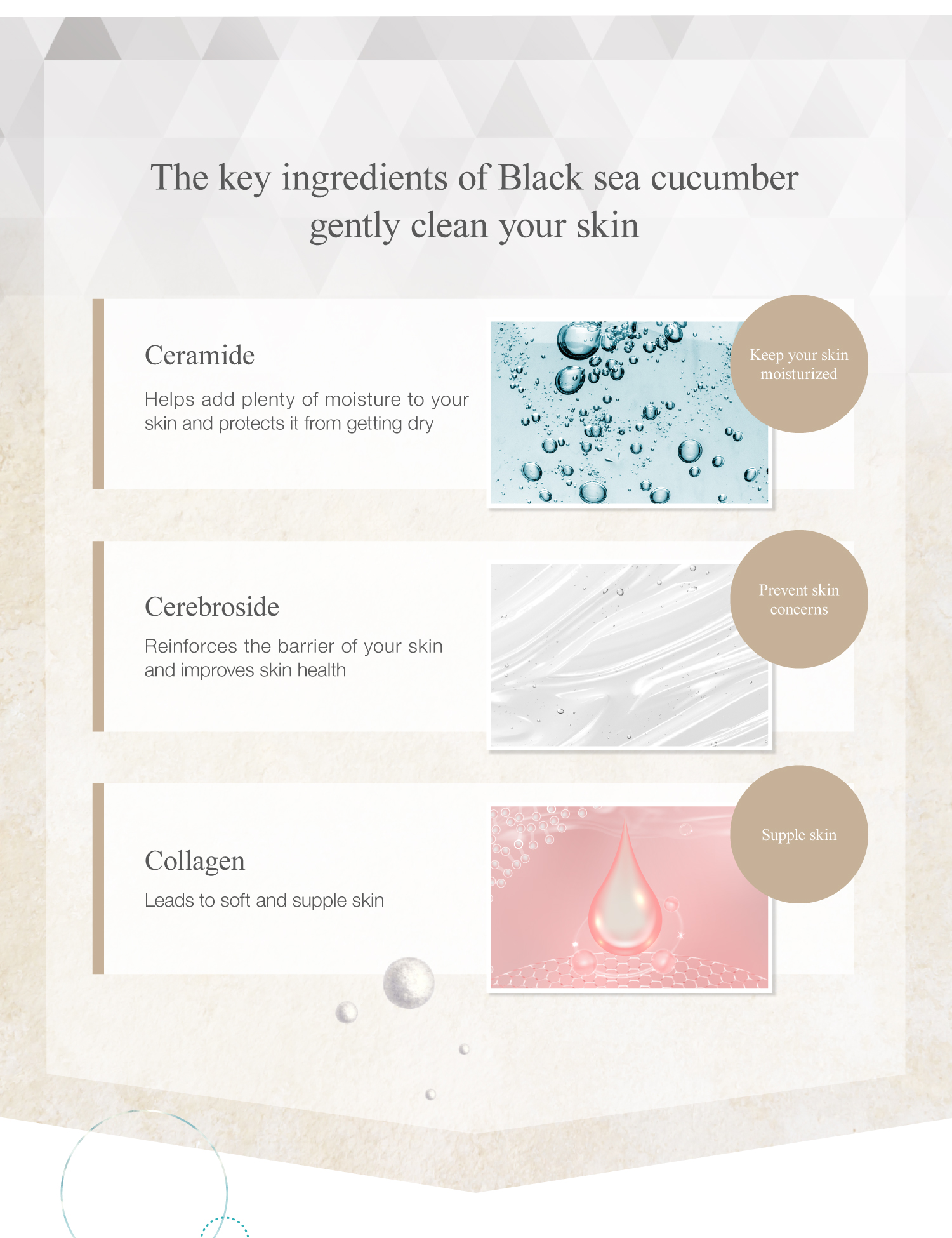The key ingredients of Black sea cucumber gently clean your skin