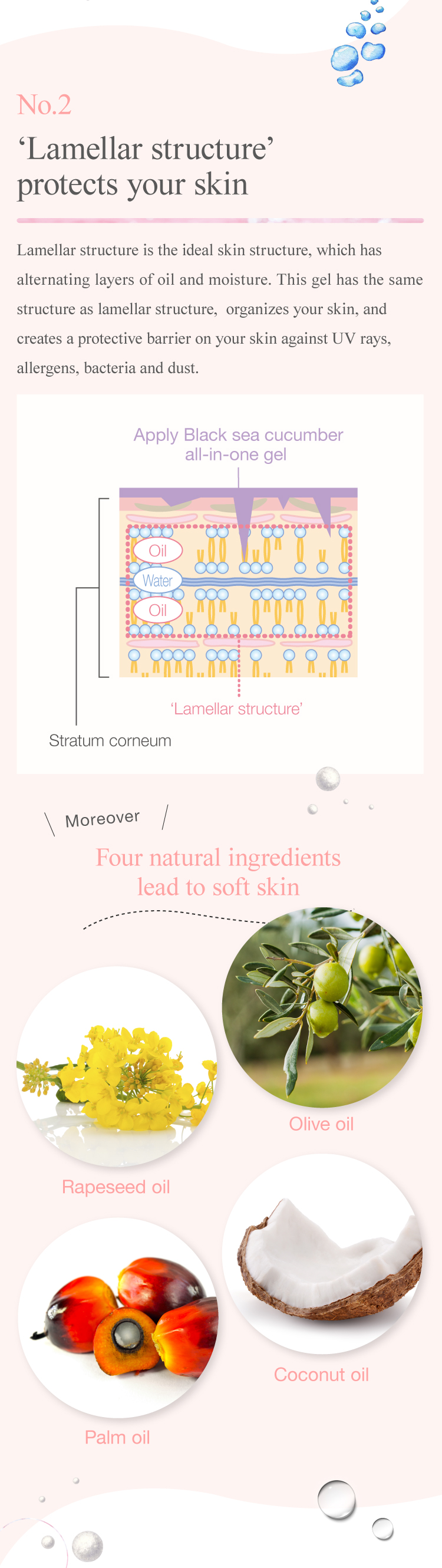 Black sea cucumber all-in-one gel's ‘Lamellar structure’ protects your skin