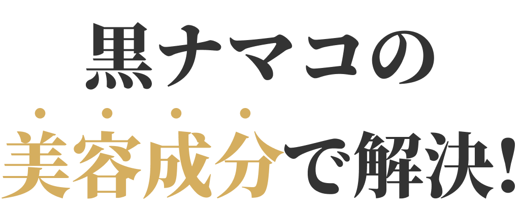 解決テキスト